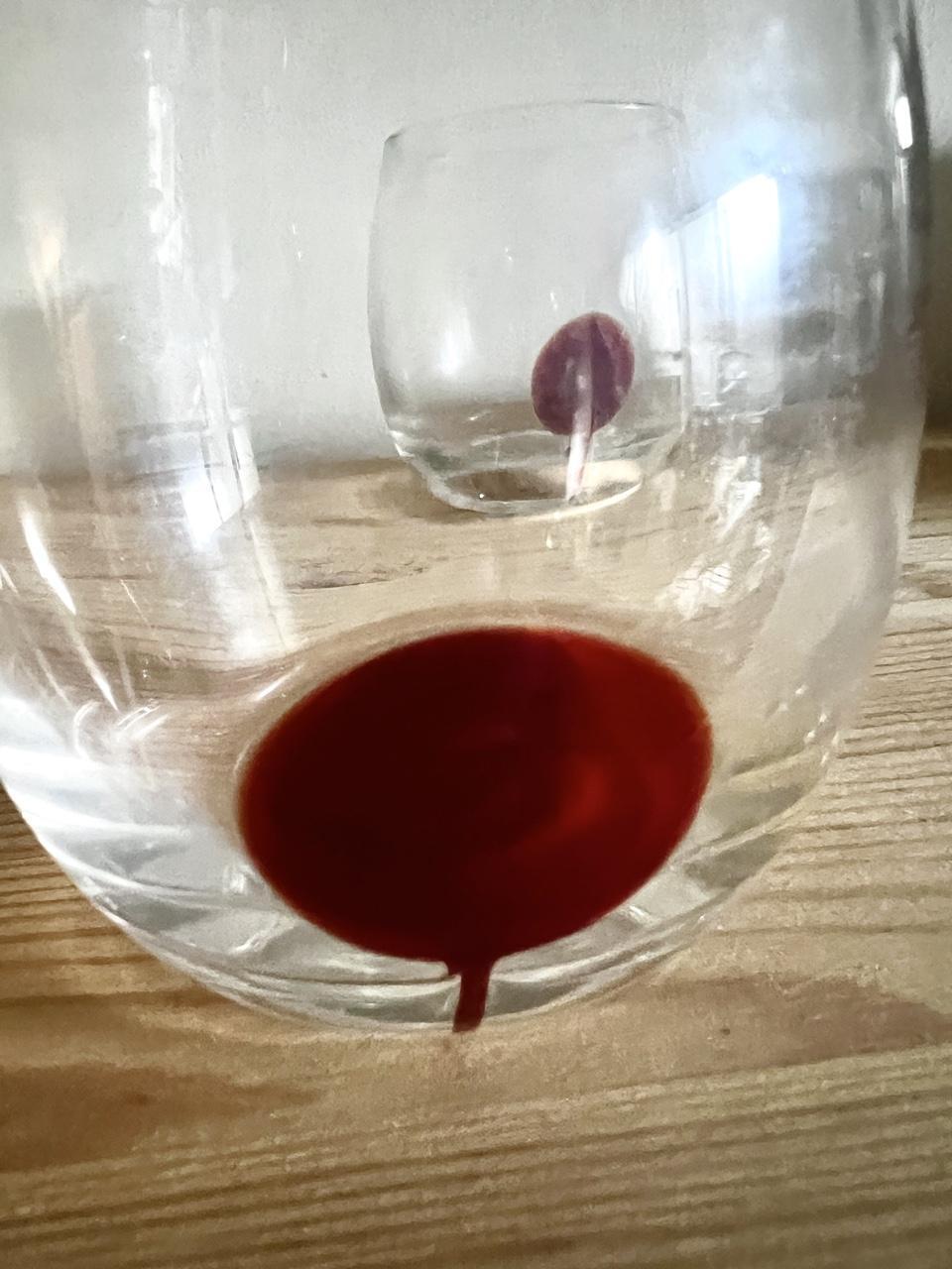 ❤️ Twin Peaks Stemless Glass Set 🍷