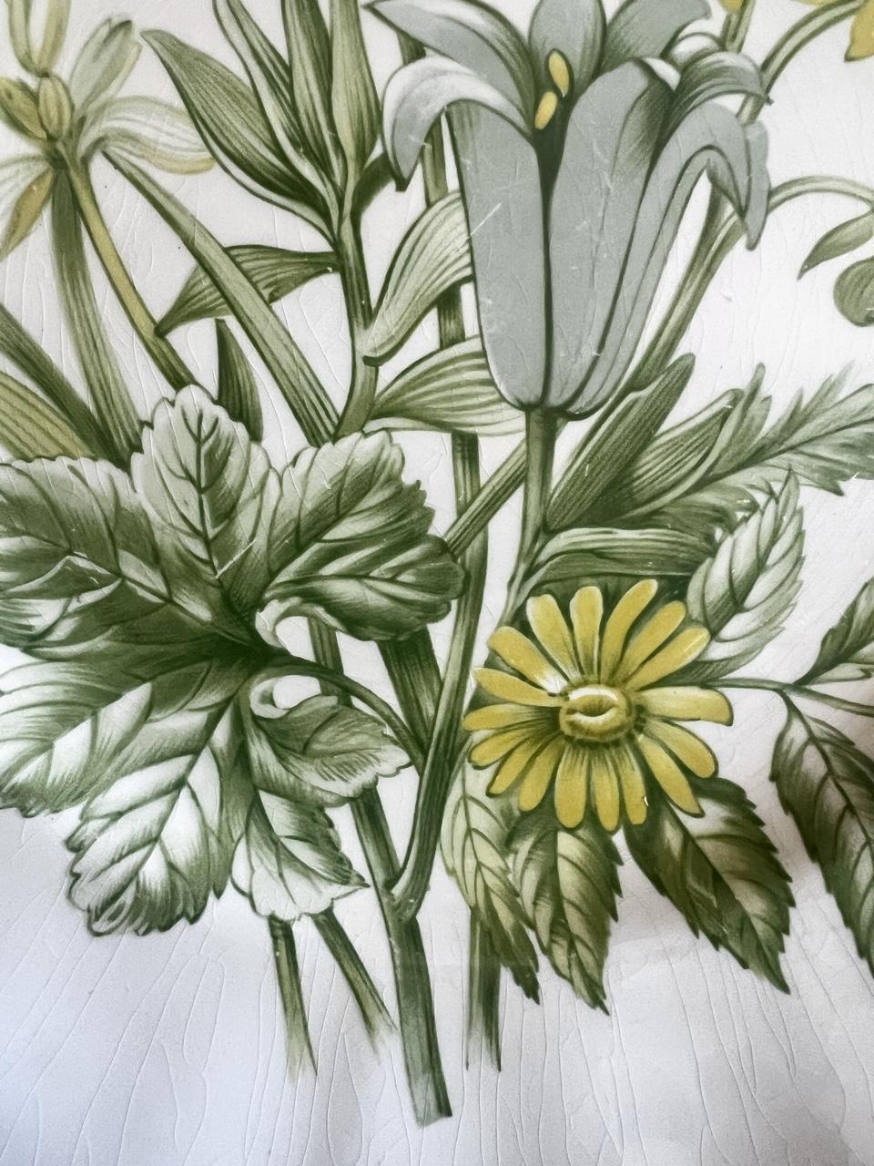 💛 Vintage Kensington Butterfield Ironstone Plate