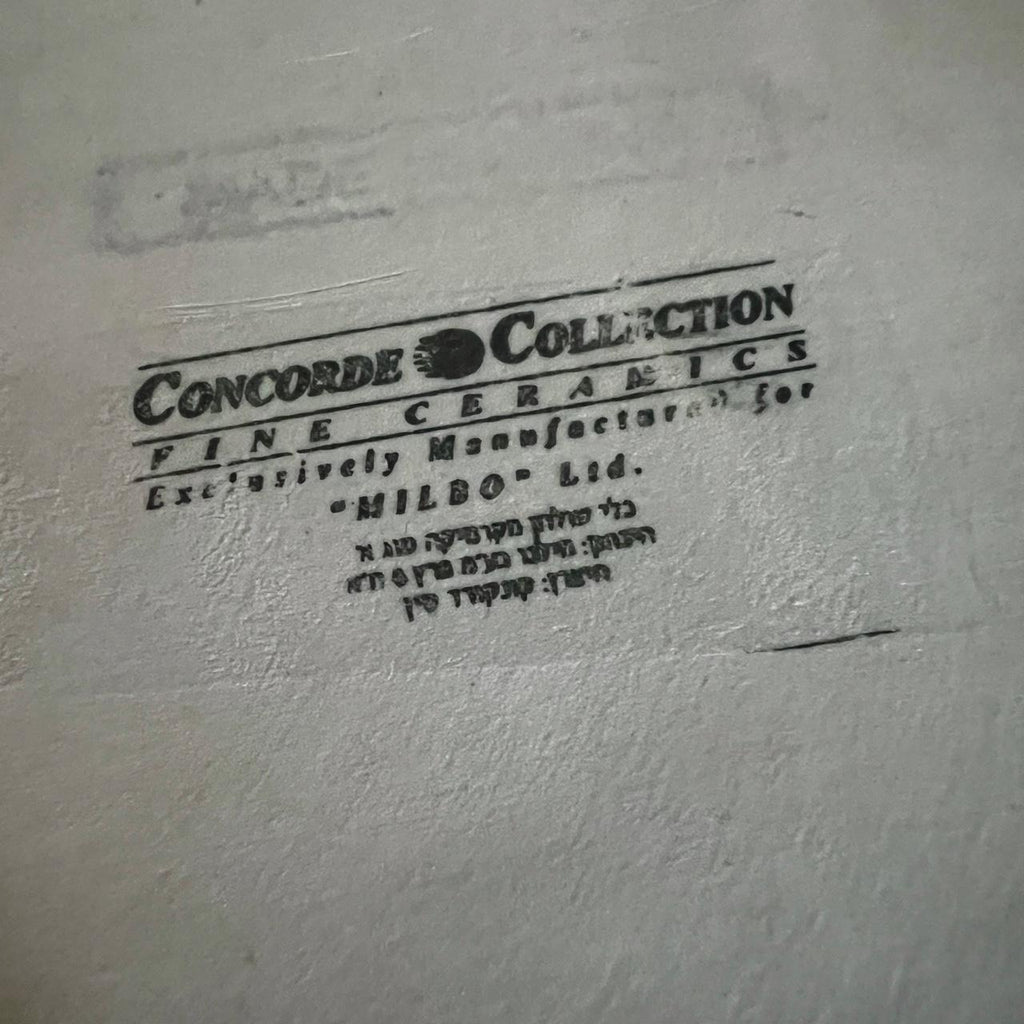 🍽️ Concorde Collection Baking Dish 💙