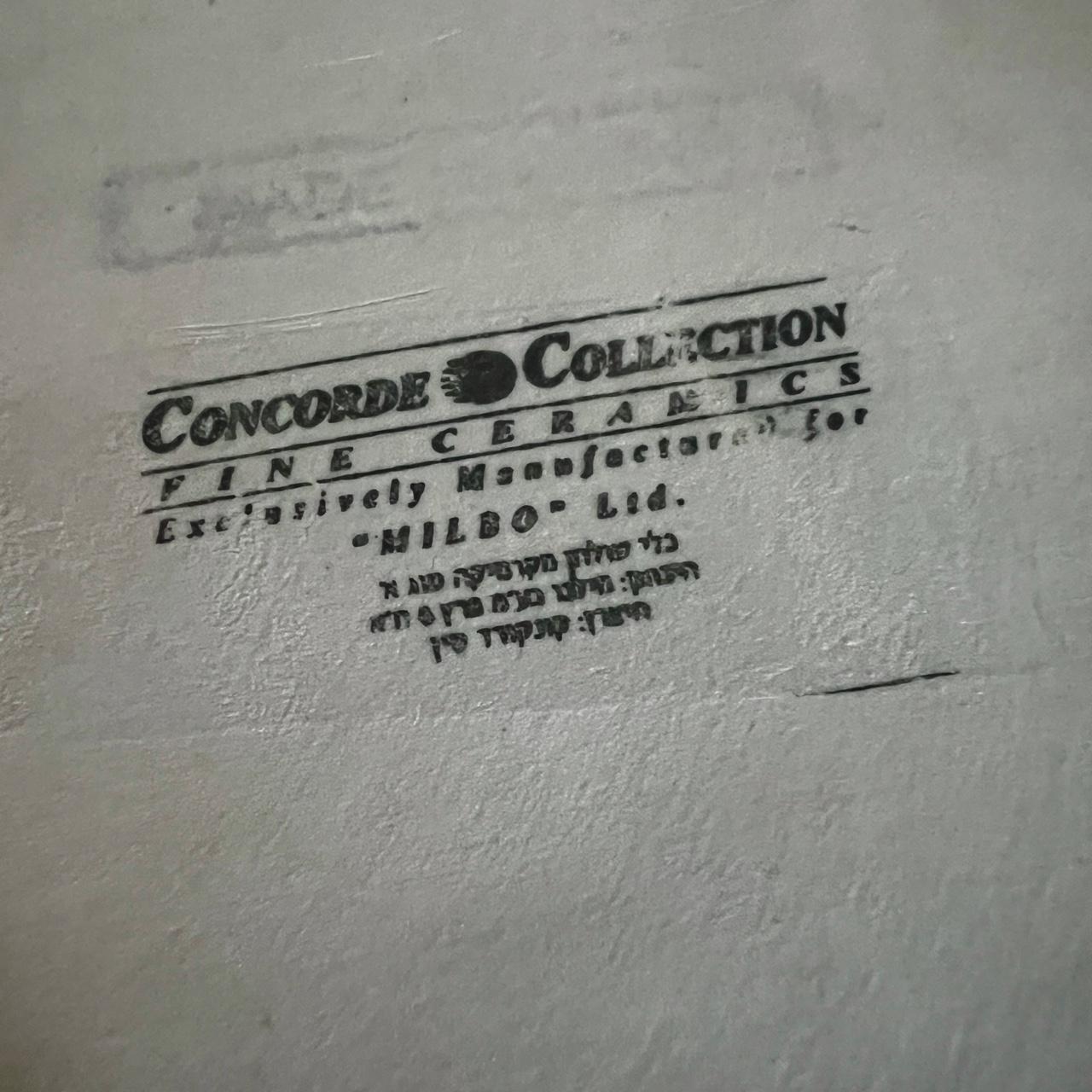 🍽️ Concorde Collection Baking Dish 💙